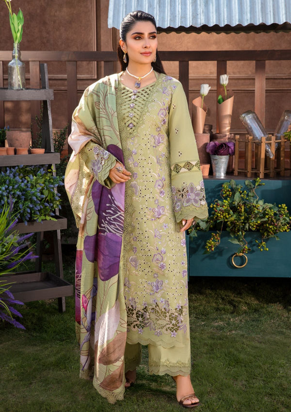 Lawn Collection - Rang Rasiya - Premium Eid - RE24#08 - AYSEL