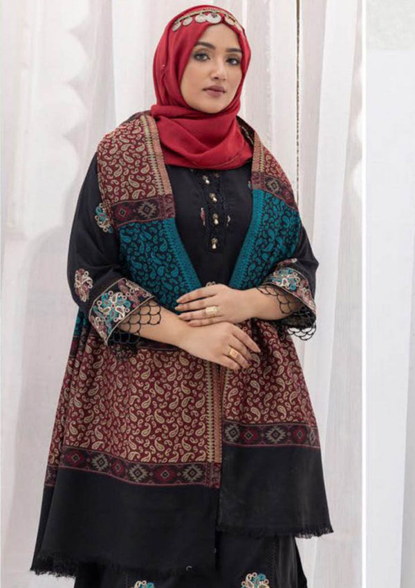 Winter Collection - Riaz Arts - DastKari23 - D#13