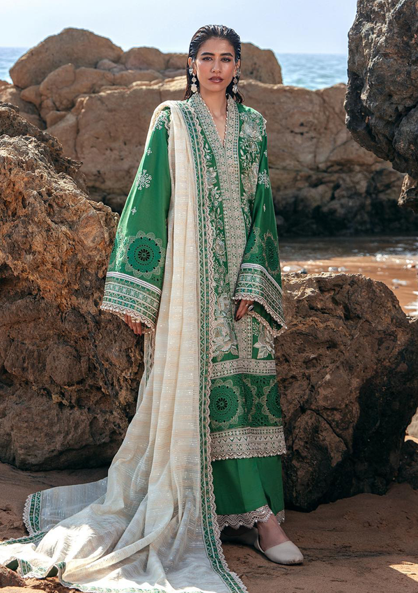 Lawn Collection - Mohsin Naveed Ranjha - Festive 24 - MFL#17 - Zariya