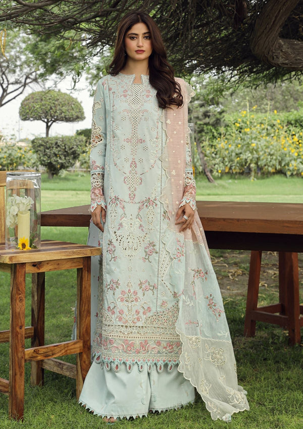 Lawn Collection - Qalamkar - Festive Lawn 24 - PS#01 - ALIZAY