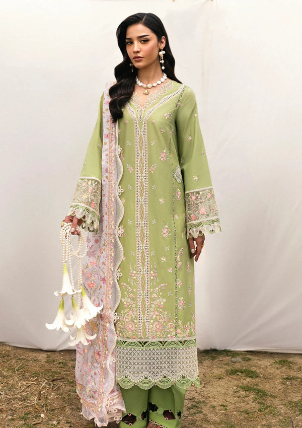 Lawn - Qalamkar - Qlinekari 25 - DC#01 - Lovisa
