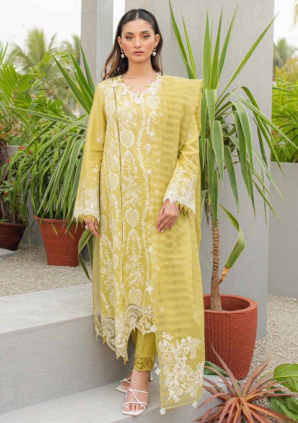 Lawn Collection - Qalamkar - Qline - JK24#02 - Melis