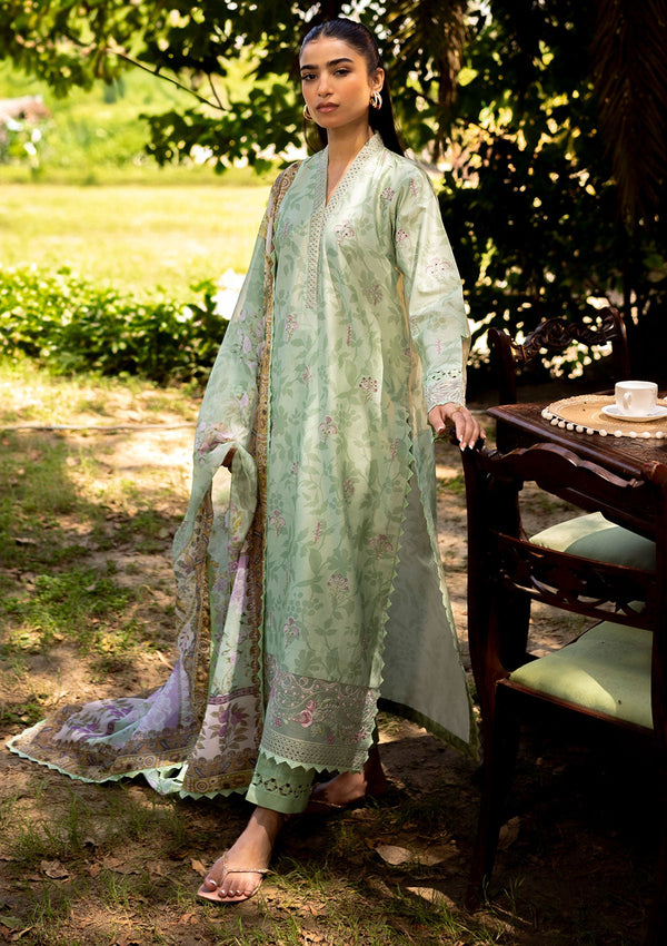 Lawn Collection - Neeshay - Summer Lines - Printkari - NP24#01 - Sage Brush