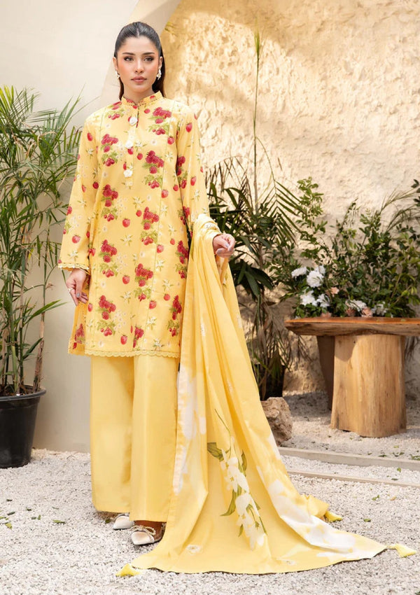 Lawn - M.Basics - Elaheh 25 - Vol 1 - MB-ELHV1-06