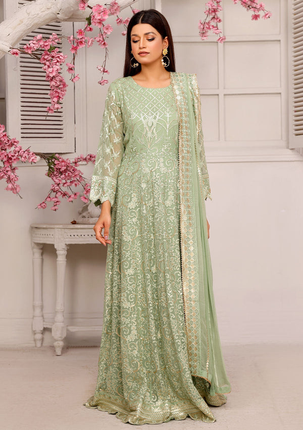 Formal Dress - Rubaaiyat - Chiffon with Sequence - D#2 B