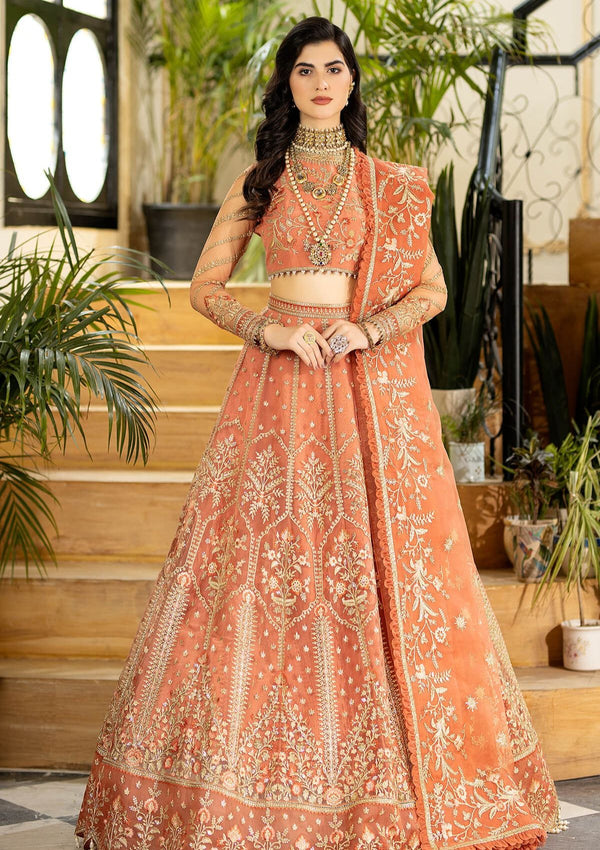 Formal Collection - Imrozia - Jhalak - 185 - SAYOONE