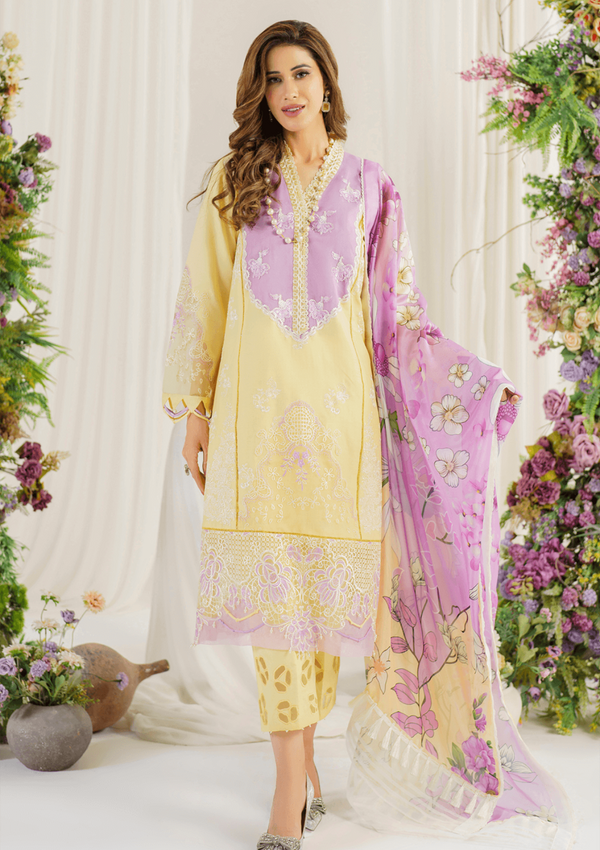 Lawn Collection - Asifa & Nabeel - Pretty In Pink -  AP24#10 - Versaila